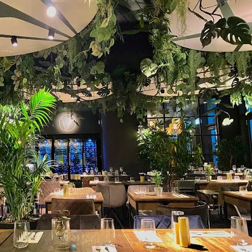 Speisesaal des Restaurants Malo in Stuttgart mit vielen Pflanzen an der Decke