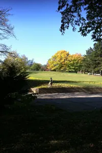 Wiese und Herbstbäume im Höhenpark Killesberg in Stuttgart bei Sonnenschein
